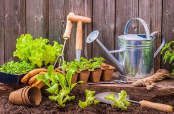 gardening