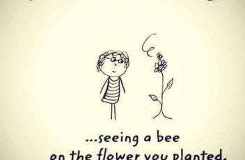 Happiness and bees